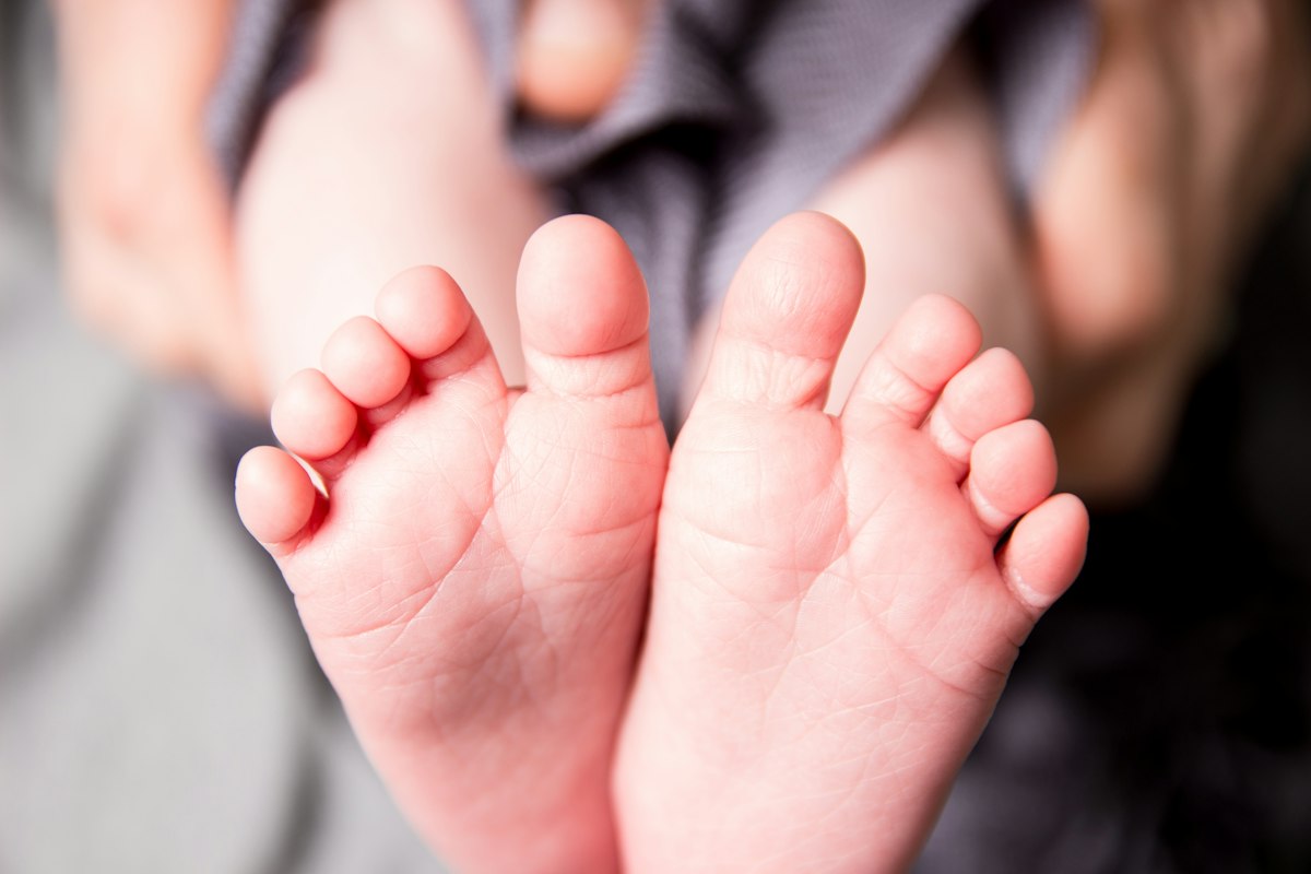 Feet